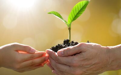 In partenza il nuovo “Corso Triennale di Counselor nella Relazione d’aiuto” AA 2025/2026